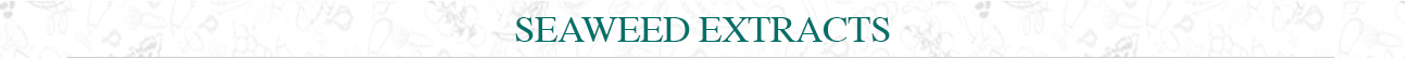 ecofit